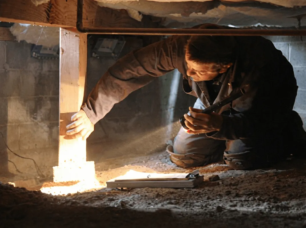 A professional inspecting wooden beams under the floor of a structure in San Antonio, TX